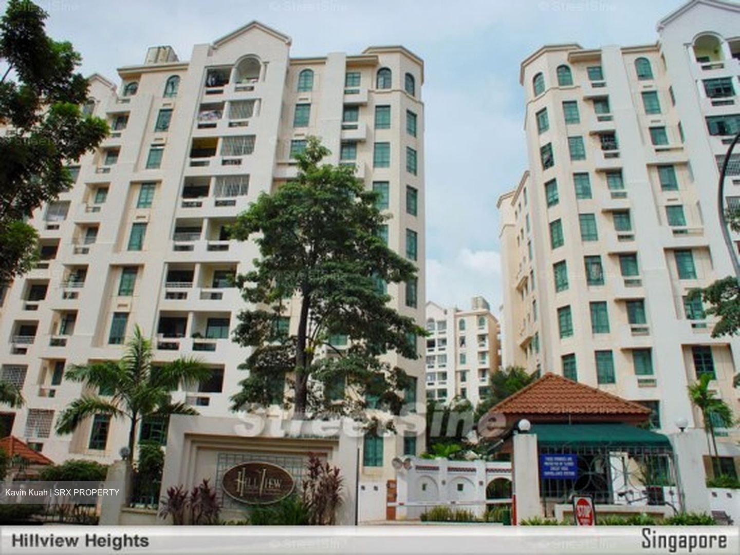 Hillview Heights (D23), Condominium #599107701